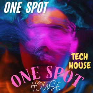 ONE SPOT