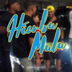 Hierva Mala