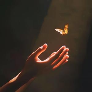 关于你，我真的尽力了