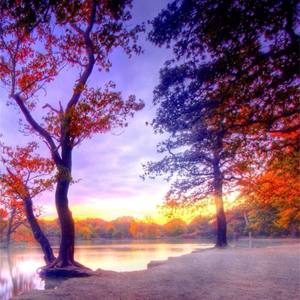 小情歌（钢琴曲）