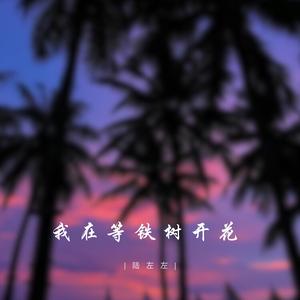 我在等铁树开花