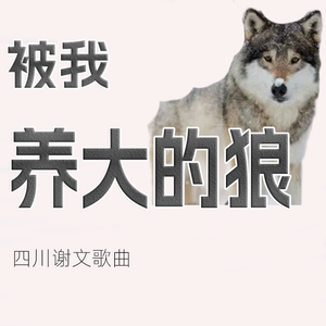 成都成就梦想四川谢文歌曲