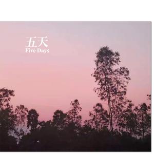 五天