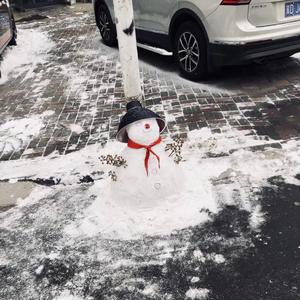 燕无歇（青年音版）（翻自 是七叔呢）