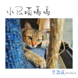 我是一只虎斑猫