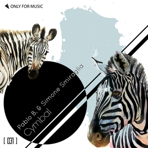 Cymbal (Original Mix)