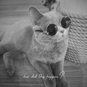 how did this happen?