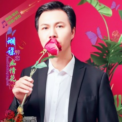 蝴蝶醉恋痴情花【迪斯科】