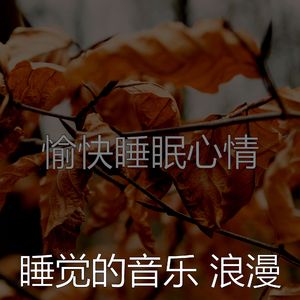 安静的沉睡声音