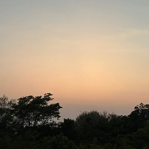 必杀技(女声版)