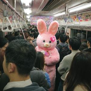 管他呢