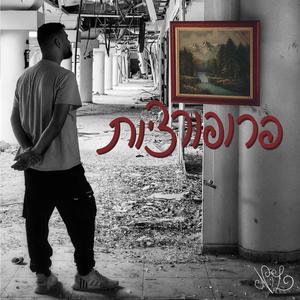 פרופורציות