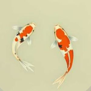 檐下流光