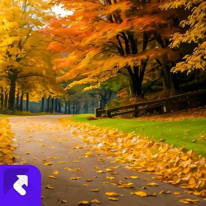 月下笛声纯音乐 (伴奏)