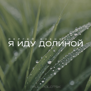 Песнь о собаке