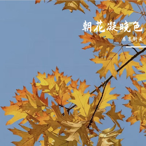 朝花凝晓色