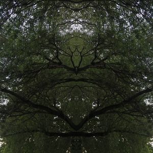 Твои страхи