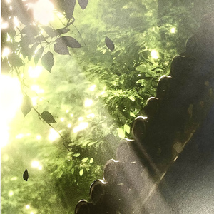 一抹春妆赴春光（0.8x）