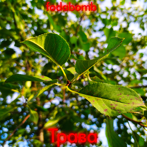 Трава