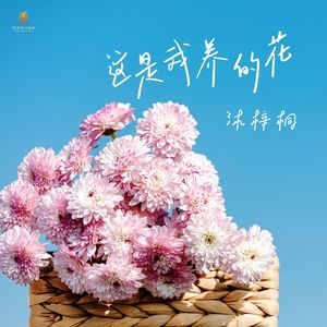这是我养的花-沐梓桐