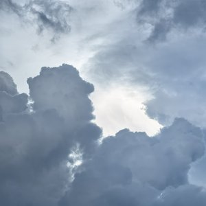 多情种