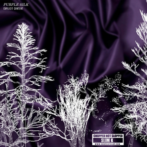 Break My Heart (Chopped Not Slopped)