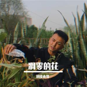 tozigangul凋零的花