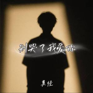 别哭了我爱你
