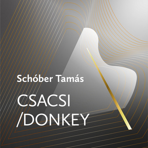 Csacsi