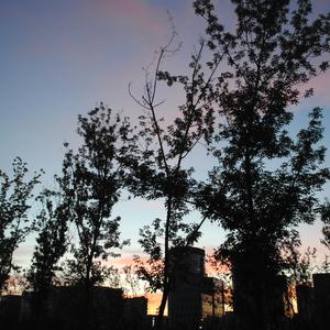 唯一（cover告五人）