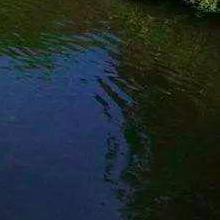 黑石维西三月七日