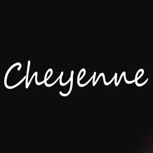Cheyenne (Originally Performed By Jason Derulo) [Instrumental Version]