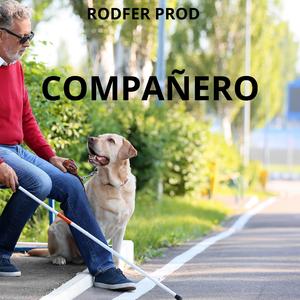 COMPAÑERO