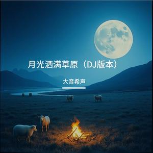 月光洒满草原（DJ版）