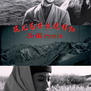 花儿为什么这样红（Mic伊凡）