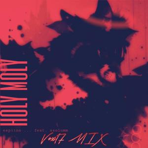 HOLY **** (feat. ssolumm) (Vox17 Remix)