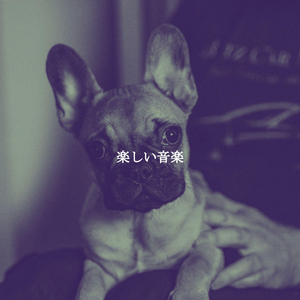 Sort (Staying Healthy)