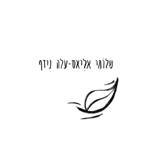 עלה נידף