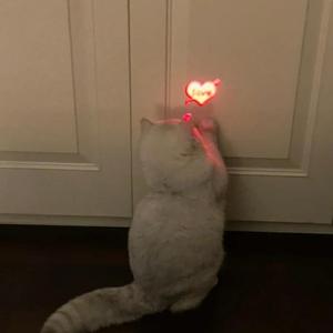 I'm waiting（爱慕未停）