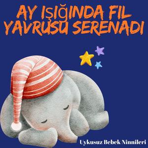 Savananın Fısıldayan Valsi