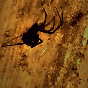 clay hands (feat. spiegelmann)