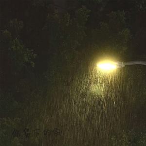 你留下的雨（DJ阿骏版）