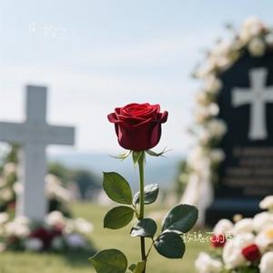 玫瑰花的葬礼(Cover 许嵩)