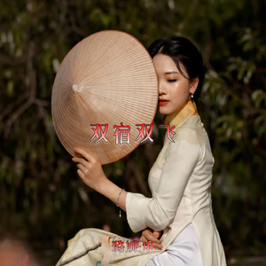 双宿双飞