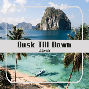 ZAYN-DusktillDawn（念宸 / 情白 remix）