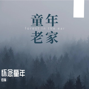 怀念童年