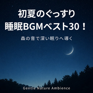自律神経にやさしい音の処方箋 安らぎの快眠習慣 不眠改善に効くヒーリング (寝落ちのピアノの森)