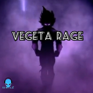 Vegeta Rage