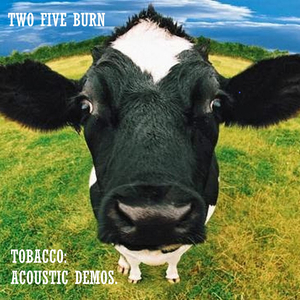 Like a Nobody (Dandelion)