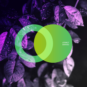 Composite (Original Mix)